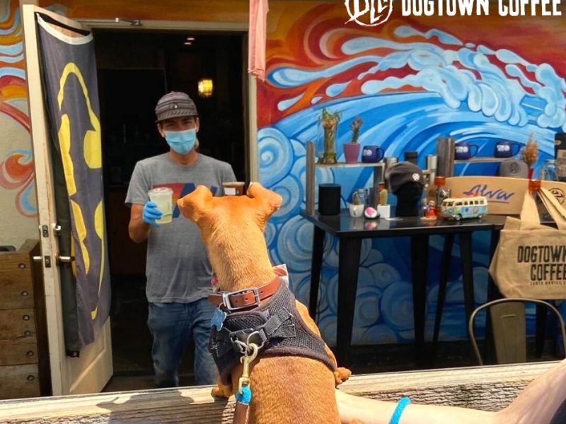 Spoil-Your-Dog-With-a-Day-Out-in-Santa-Monica-by-Visiting-This-Pet-Friendly-Coffee-Shop