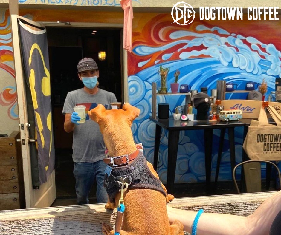 Coffee shops that allow dogs cheap