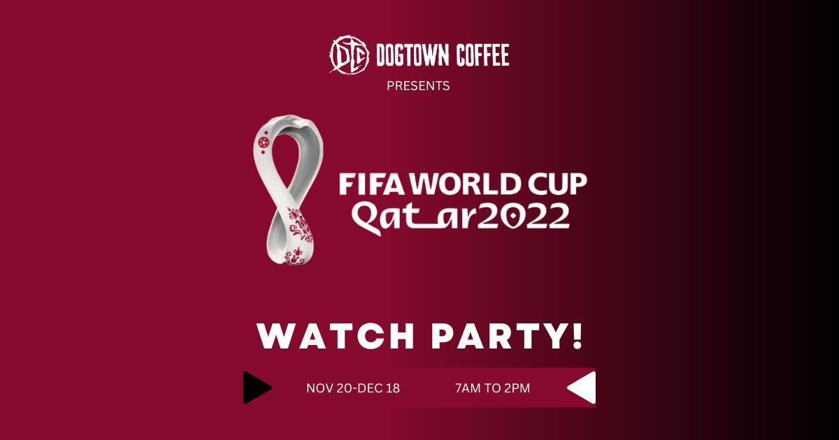 FIFA World Cup 2022 - what is it like to watch live matches in