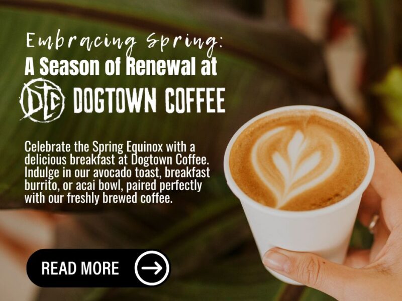 dogtown-coffee-blog-title-Embracing-Spring-A-Season-of-Renewal-at-Dogtown-Coffee