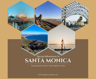 outdoor-adventures-in-santa-monica-blog-title-Spring-Adventures-in-Santa-Monica-Exploring-the-Outdoors-with-Dogtown-Coffee