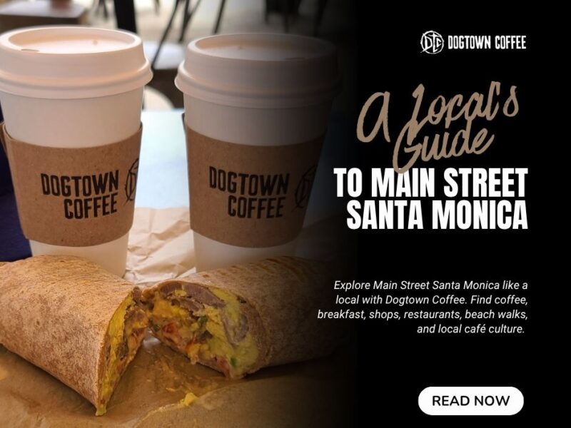 A-Locals-Guide-to-Main-Street-Santa-Monica